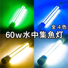 Item thumbnail for item d8616d52-790d-4ed6-80ea-6a4d9764ddcc