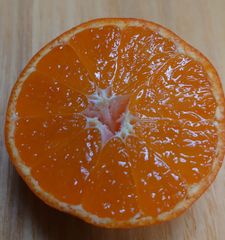 佐瀬みかん SS 甘酸っぱいみかんです🍊