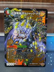 パーフェクトペテンシー 王闘竜王ボルシャック・ドラゴン 王闘竜皇ボルシャック・ドラゴン - メルカリ