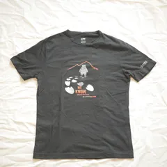 DIRECTALPINE ダイレクトアルパイン BOSCO 1.0 black M サイズ ボスコ ストレッチ Tシャツ クライミング ハイキング チェコ yetti イエティ