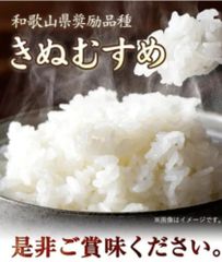 きぬむすめ 和歌山県紀の川市 5kg 前田農園 新米 分づき米