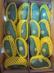 送料無料】タイ産青マンゴー5kg 泰国緑甘い芒果 - メルカリ