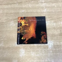 SHUREN the FIRE シュレンザファイヤー　レコード 極美品 2LP SHUREN the FIRE/my words〜 レコード