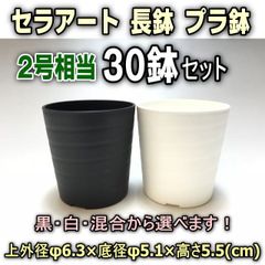 セラアート2.5号(φ6.3cm:2号相当)プラ鉢の黒白混合を選べる30鉢セット＊多肉植物・塊根植物コーデックス・アガベ・サボテン・盆栽・観葉・ハオルチア・アデニウム・パキポディウム・実生＠フラワーショップ江口