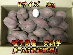 【本場種子島産】安納芋紅Mサイズ 5キロ【ねっとり！完熟！】