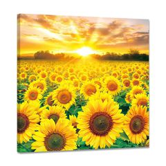 【新着商品】木枠付きの完成品(40x40cm) 玄関に飾る絵 飾り絵 部屋 壁掛け 植物 ポスター インテリア 花の絵 アートパネル 向日葵 絵画 ひまわり