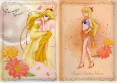 [Used] Clear File Sailor Venus A4 Clear File Set (2 pieces) "Ichiban Kuji Pretty Guardian Sailor Moon Eternal Movie ~Princess Collection~" Prize F