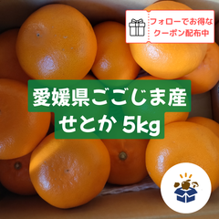 【愛媛県ごごじま産】せとか 5kg