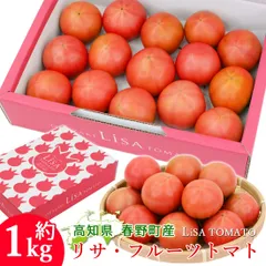 諸木直送 トマト Lisa フルーツトマト 1箱 100日トマト 春野町 高糖度トマト 高知産 高知 糖度8度以上 高知県産 家庭用 ふるーつとまと 約1キロ 宅急便