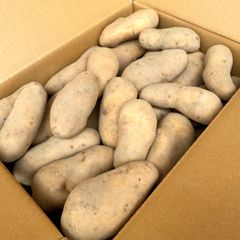 北海道 知床熟成じゃがいも【メークイン】5kg