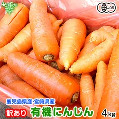 訳あり 有機人参 4kg 冷蔵便 鹿児島県産 宮崎県産 化学肥料・農薬不使用 規格外 にんじん B品 有機JAS 有機栽培 発送期間12月～7月のサムネイル