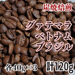 【グアテマラ・ベトナム・ブラジル】3種類×40g　炭焼 自家焙煎コーヒー豆　計120g