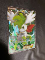 ポケモンカード シェイミEX SR BW3 1st edition - メルカリ