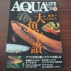 月刊アクアライフ【中古】2004年3月