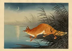 小原古邨「柳に油蟬」本物木版画 小原古邨「柳に油蟬」本物木版画 小原古邨「柳に油