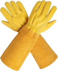 Item thumbnail for item 6fb3e5ed-3a24-4193-9dfd-e11502d2b5f5