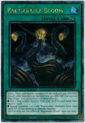 znefk37Win8i2M89d4w5x7.jpg@jpg