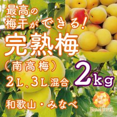 和歌山県産　家庭用完熟南高梅‼️２Ｌ～Ｍサイズ混合‼️15kg　みかんキング 和歌山県産 家庭用完熟南高梅‼️2L～Mサイズ混合‼️15kg