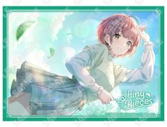 [중고] 잡화 이루타 하루키 메탈 플레이트 [아이돌 마스터 샤이니 컬러즈 × 요코하마 · 팔경도 바다 파라다이스 Shiny Pieces]