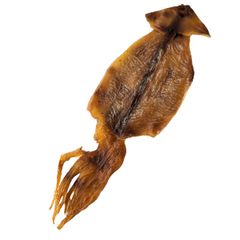 Item thumbnail for item 94d71f5e-d96f-4f7f-ae9a-878e3b841206