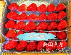 極小粒＆訳あり 大容量 紅ほっぺ いちご 〜農家直送〜高 品質