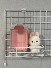 THE BOYZ(ザ・ボーイズ・ドボイズ) ニュー(NEW・チャニ) 人形 ぬいぐるみ ぬい ちゃんぽ