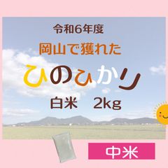 中米】【生産者直送】令和6年度 岡山県産 ひのひかり 白米 20