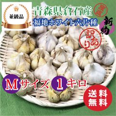 【並級品】青森県倉石産にんにく福地ホワイト六片種 Mサイズ 1kg