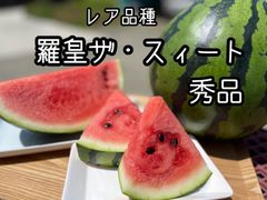 産地直送　新鮮野菜　果物　フルーツ　すいか　スイカ　熊本ブランドスイカ
