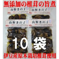 ★coco様専用★食べ方色々★希少★原木栽培椎茸の旨煮★山野きの子１２０ｇ10袋