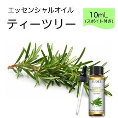 ティーツリー ティートゥリー Melaleuca alternifolia スポイト付 10ml EUQEE 高品質 PREMIUM GRADE ウッディ 樹木