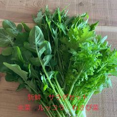 朝どりサラダセット🥗　クール便♪
