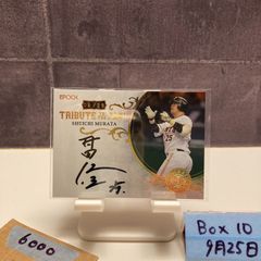 越智大祐選手　直筆サインボール ジャイアンツ　シーズンシート　オーナー 越智大祐選手 直筆サインボール ジャイアンツ シーズンシート オーナー