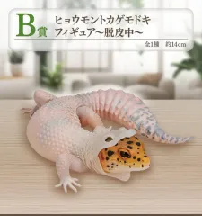 2025年最新】爬虫類両生類くじB賞の人気アイテム - メルカリ