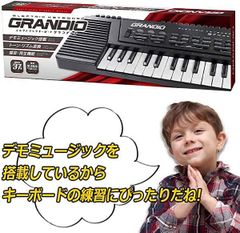 Grandio Hack HAC3257 Electric Keyboard, Multifunctional Electronic Piano, Mini Piano, Musical Ear Training, Recording, Playback, Keyboard Toy, Educational Toy (Brand New), Free Shipping