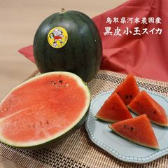 ☆9月中下旬～収穫次第予約順に発送予定☆小玉黒皮スイカ(訳あり)鳥取県北栄町(旧大栄町)農家指定果物1箱(3-6玉で約8-10キロ程度入り)【常温】すいかカービング西瓜