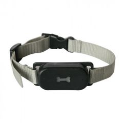 Item thumbnail for item 2cb1abd0-56d9-41bb-acf4-4b588f0ada15