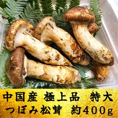 中国産3L~ L大【天然 開き、欠け、折れ 松茸 約1kg前後】良品15~20本 - メルカリ