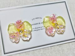 No.006 大人可愛い☆本物のお花入りキラキラハンドメイドピアスアレルギー対応