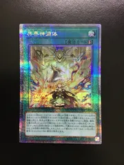 Amazon.co.jp: 遊戯王カード 共界神淵体(25th シークレットレア