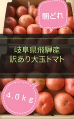 フォローで5％引きクーポン🍅　朝どれ訳あり大玉トマト 4kgのサムネイル