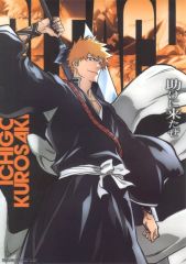 [중고] 클리어 포스터 A3 클리어 포스터 쿠로사키 이치고(도움에 왔어) [이치반 쿠지 BLEACH-블리치- Stirring Souls vol.3] F상
