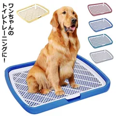 トレイ ワイド マーキングポール 犬用 しつけ 大型犬トイレ フチ付き トレーニング メッシュ ペットトイレレイー ozvZ751