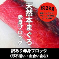 天然本マグロ　約2kg 皮付き赤身ブロック（形不揃い・血合い含む）