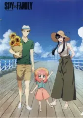 【中古】クリアファイル フォージャー家 オリジナルA4クリアファイル 「SPY×FAMILY×ココカラファイン」 家族で季節対策キャンペーン 抽選でもらえる!SNSで応募 ココカラファイン公式LINE限定 第二弾 お友だち登録抽選特典
