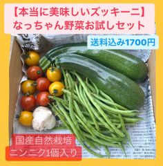 なっちゃんの朝採れ野菜【国産自然栽培ニンニク入り】