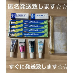 DENT MAXIMA 4本　歯磨き粉　　歯ブラシケース　セットデントマキシマ