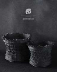 100引きの商品