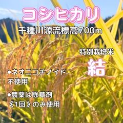 特別栽培米・兵庫県推奨コシヒカリ・新米1.5キロ・令和4年