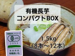 【クール料金込み！食べきりサイズ❗】　有機長芋　1.5kg　コンパクトサイズでお届け